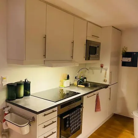 Private Cozy Close To Center 公寓 卑爾根